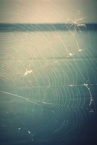 Full frame shot of wet spider web