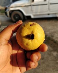 Close-up of hand holding apple