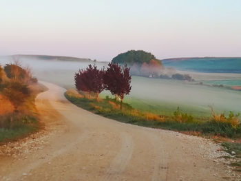 Road amidst trees and landscape against sky during sunset