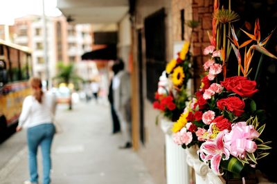 Flowers on street in city