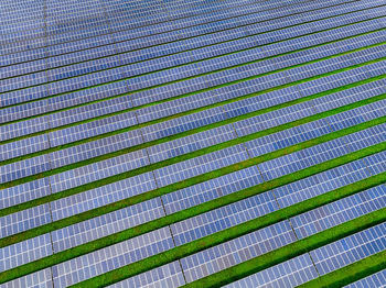 Solar farm and sun light. solar power for green energy. sustainable renewable energy. photovoltaic