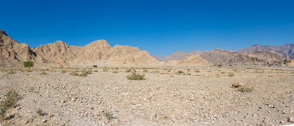 Scenic view of desert against clear blue sky