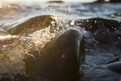 Stony beach stones and rocks sunlit in the evening closeup, texture sunset and sunrise