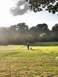 Horse on grassy field