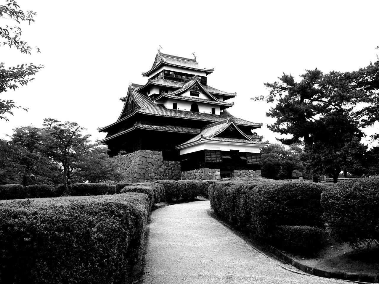 built structure, architecture, clear sky, building exterior, tree, religion, place of worship, temple - building, history, spirituality, the way forward, day, outdoors, no people, sky, stone material, steps, roof, low angle view