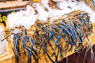 Close-up of fishing net
