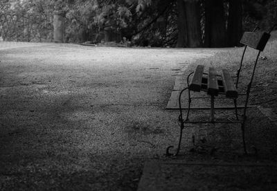 Empty road along trees