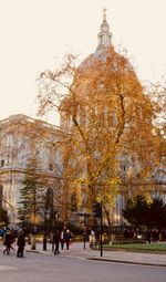 Trees in city against sky during autumn