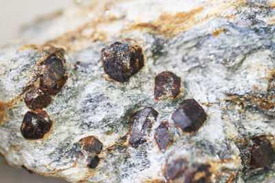Close-up of rusty metal on rock