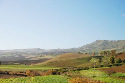 Scenic view of agricultural field against clear sky