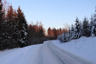 Snow covered road amidst trees against sky during winter