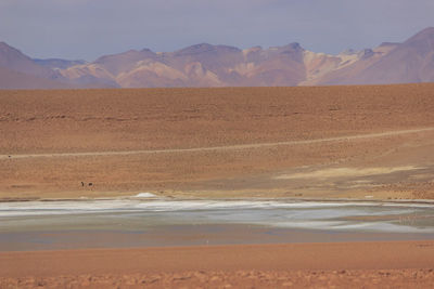 Scenic view of desert against sky