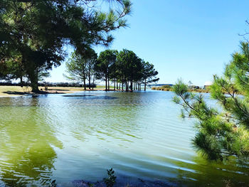 Scenic view of river against clear sky