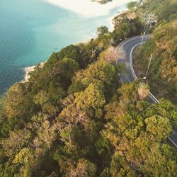 High angle view of road amidst trees and sea