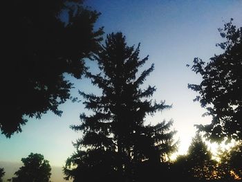 Low angle view of silhouette trees against sky