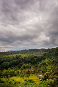 Scenic view of landscape against cloudy sky