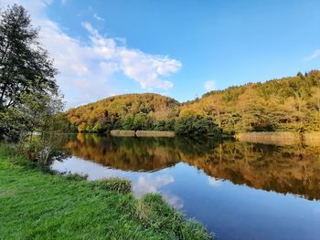 Scenic view of lake by trees against sky