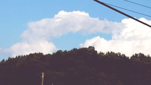 Low angle view of trees against sky