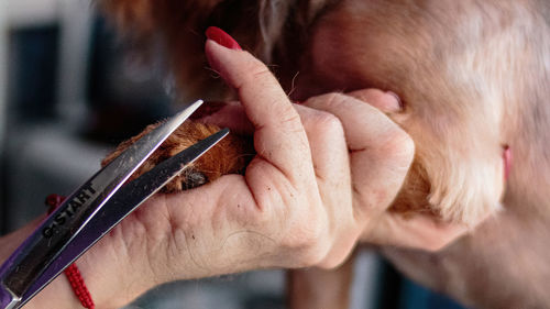 Cropped image of man working at home