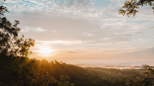 Scenic view of landscape against sky during sunset