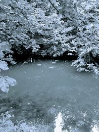 Scenic view of frozen lake