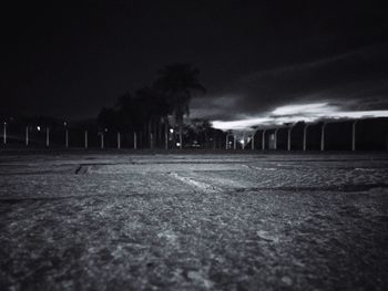 Illuminated trees at night