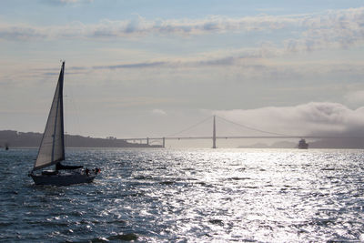 Sailboat sailing on sea against sky