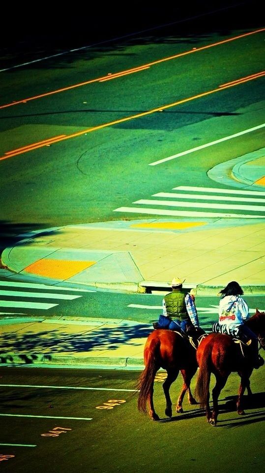 lifestyles, men, leisure activity, green color, grass, field, full length, person, night, outdoors, casual clothing, standing, auto post production filter, transportation, side view, rear view, horse