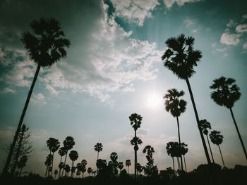 Low angle view of palm trees against cloudy sky