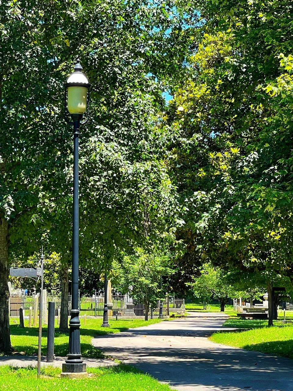 STREET LIGHTS IN PARK BY CITY