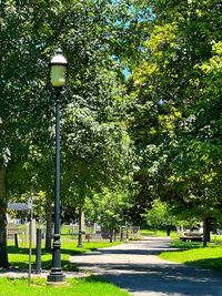 Street light in park