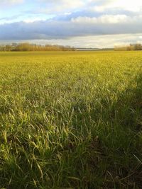 Scenic view of field against cloudy sky