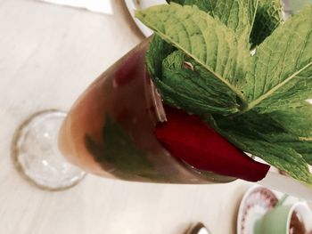 High angle view of red vegetables in plate