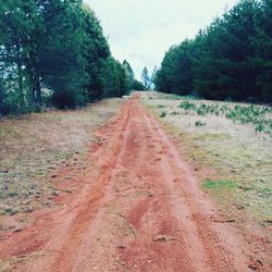 Dirt road passing through landscape