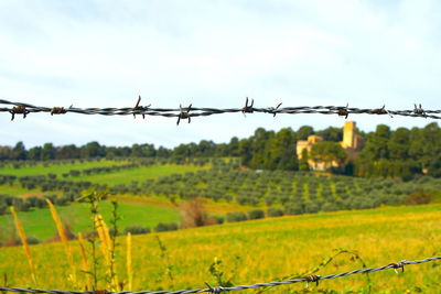 Barbed wire fence in field against sky