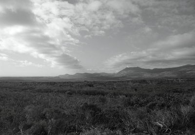 Scenic view of field against sky