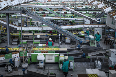 People working in apple factory