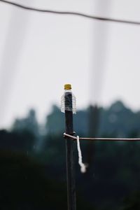 Close-up of telephone pole against sky