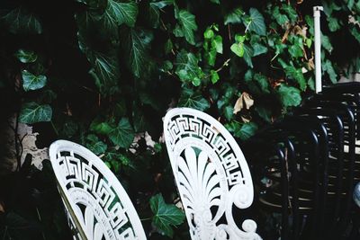 Close-up of text on plants