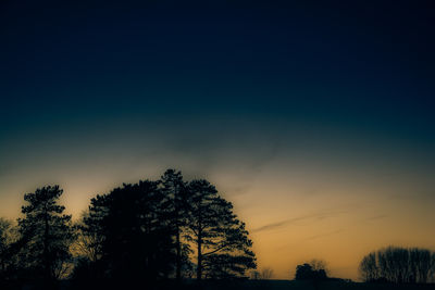 Silhouette of trees at sunset