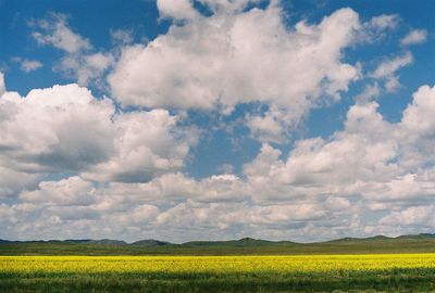 Scenic view of field against cloudy sky
