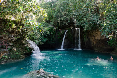 Scenic view of waterfall in forest