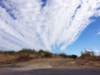 Scenic view of field against blue sky