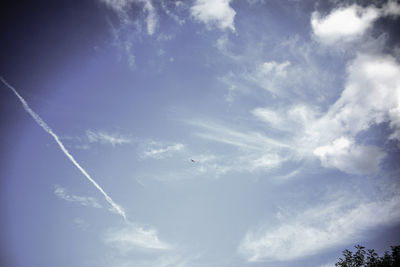 Low angle view of bird flying in sky