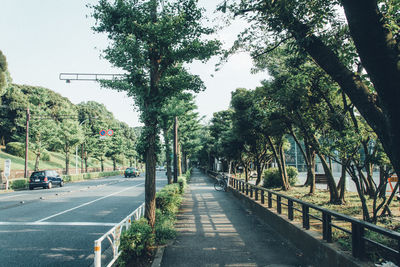 Empty road amidst trees in city against sky