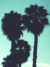 Low angle view of trees against sky