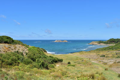 sea