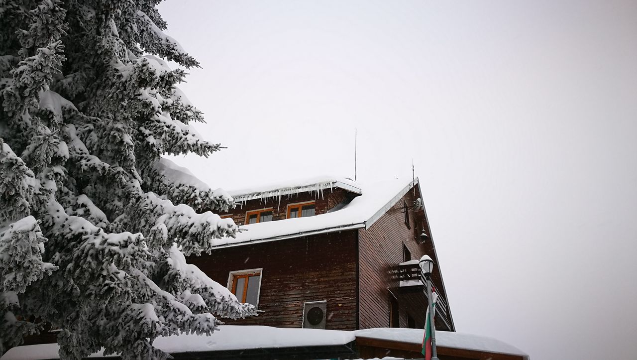 winter, low angle view, tree, architecture, snow, built structure, clear sky, no people, building exterior, sky, outdoors, cold temperature, snowing, day, nature