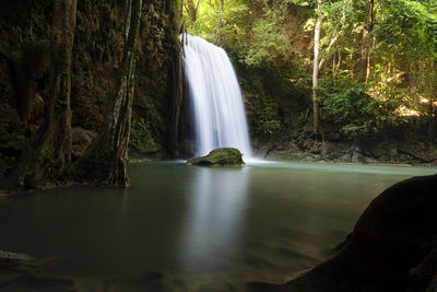 Scenic view of waterfall in forest