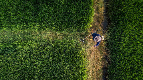 High angle view of man relaxing on field